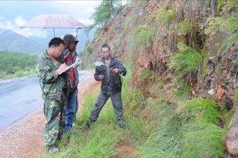 滇西北裸露地表植被恢复研究、示范与监测
