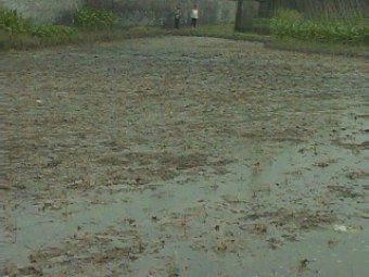 重庆市渝西地区“碳酸锶污染”监督及环境维权