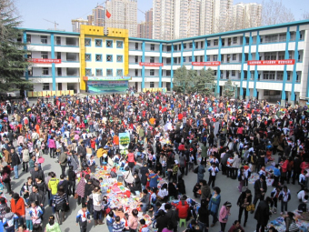 换树“1+1”美丽秦岭行动