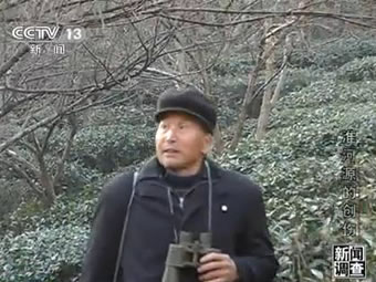 种植树木保护森林