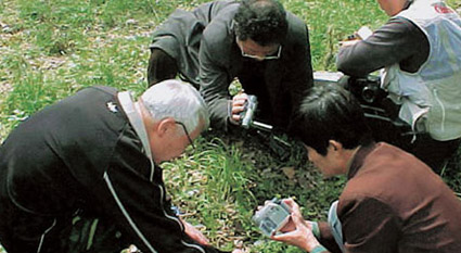 南京市中华虎凤蝶的生态恢复