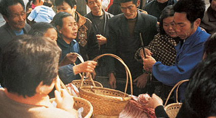楠溪江生态保护与“重提菜篮，杜绝白色污染”环保宣传活动