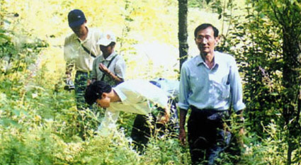 江汉平原湖群湿地水鸟调查及保护研究