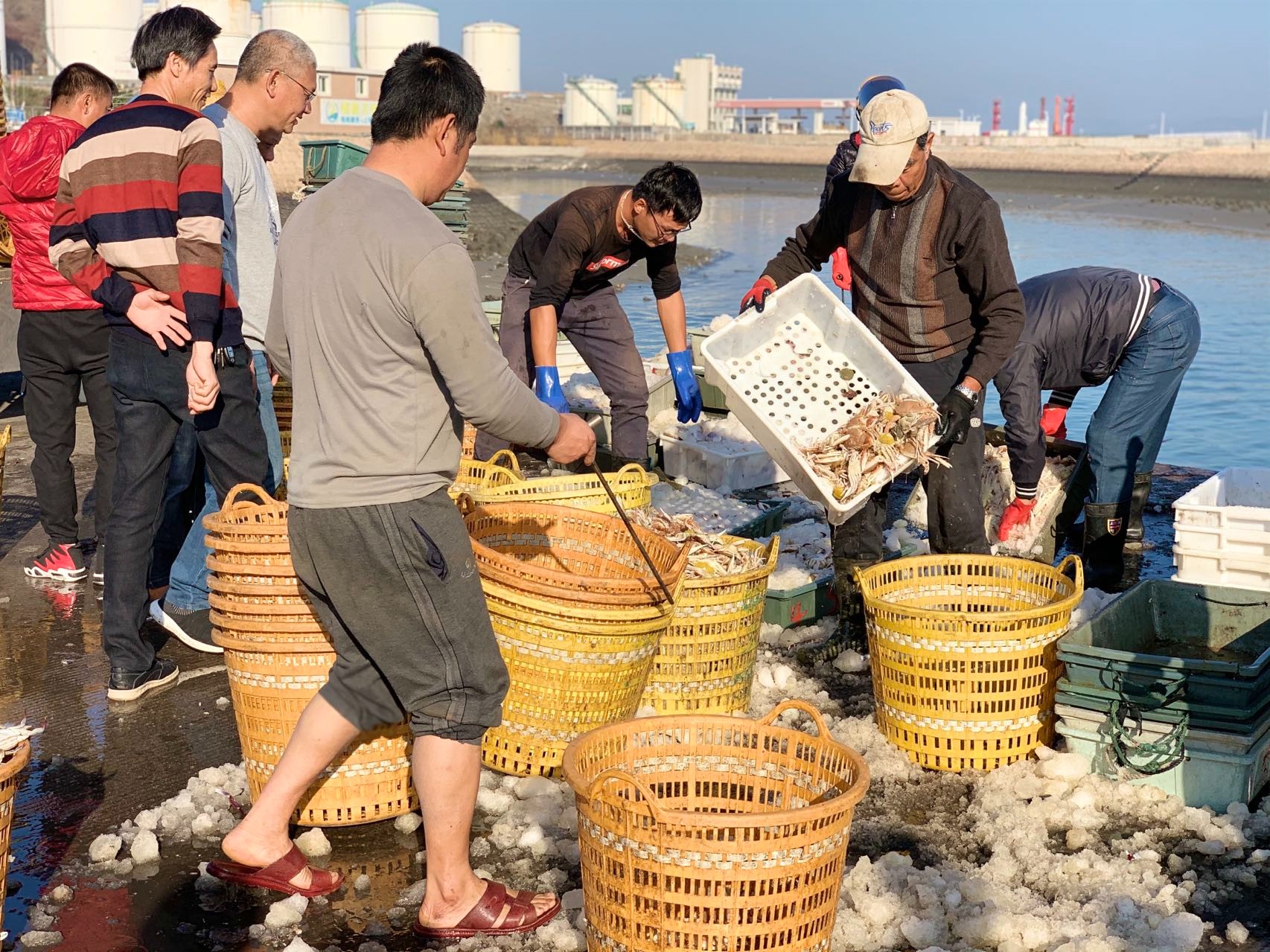 青岛市海洋生态研究会