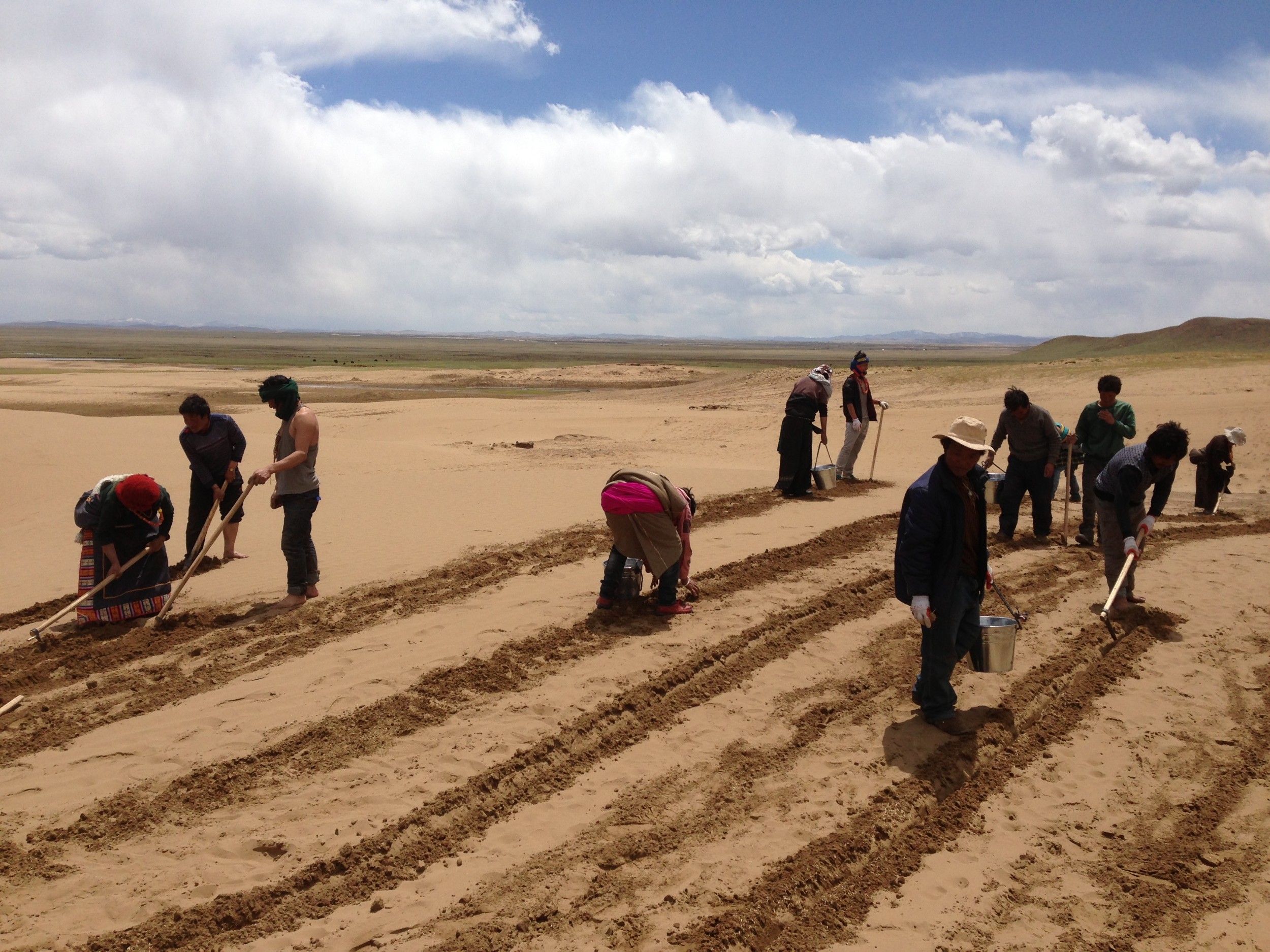 若尔盖扎琼仓生态文化咨询有限责任公司